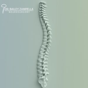 spine surgeon in centereach zampella