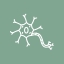 Spinal services nerve