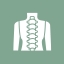 Spinal services icon 3