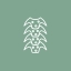 Spinal services icon 9