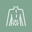 Spinal services 10
