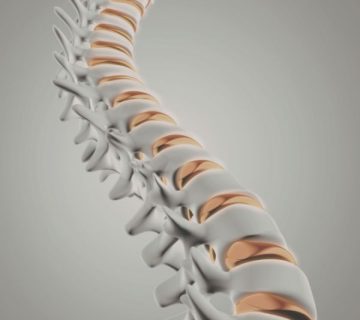 3D rendered image of a human spine, showing vertebrae and intervertebral discs against a neutral background 